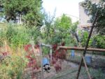 le_rateau_lavoir_-_septembre_2012_-_laurene_caudal_2_.jpg