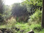 le_rec_-_bagnolet_-_octobre_2012_-_laurene_caudal_5_.jpg