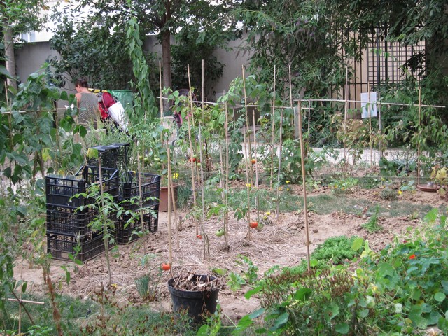 Le Jardin Les 1001 Feuilles