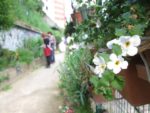 les_jardins_du_ruisseau_-_fete_de_la_nature_-_mai_2012_12_.jpg
