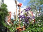 les_jardins_du_ruisseau_-_fete_de_la_nature_-_mai_2012_18_.jpg