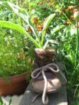 les_jardins_du_ruisseau_-_fete_de_la_nature_-_mai_2012_1_.jpg