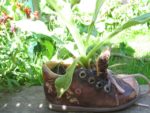 les_jardins_du_ruisseau_-_fete_de_la_nature_-_mai_2012_2_.jpg