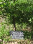 les_jardins_du_ruisseau_-_fete_de_la_nature_-_mai_2012_4_.jpg