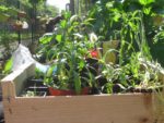 les_jardins_du_ruisseau_-_fete_de_la_nature_-_mai_2012_5_.jpg