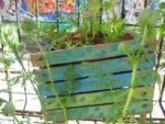 les_jardins_du_ruisseau_-_fete_de_la_nature_-_mai_2012_6_.jpg