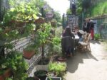 les_jardins_du_ruisseau_-_fete_de_la_nature_-_mai_2012_8_.jpg
