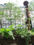 les_jardins_du_ruisseau_-_fete_de_la_nature_-_mai_2012_9_.jpg