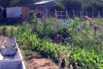 parque_huerta.jpg