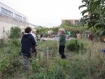 ronde_des_pique-niques_au_jardin_guinguette_de_la_dhuys_-_septembre_2012_-_laurene_caudal_10_.jpg