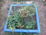 ronde_des_pique-niques_au_jardin_guinguette_de_la_dhuys_-_septembre_2012_-_laurene_caudal_11_.jpg