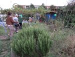 ronde_des_pique-niques_au_jardin_guinguette_de_la_dhuys_-_septembre_2012_-_laurene_caudal_12_.jpg