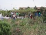 ronde_des_pique-niques_au_jardin_guinguette_de_la_dhuys_-_septembre_2012_-_laurene_caudal_14_.jpg