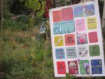 ronde_des_pique-niques_au_jardin_guinguette_de_la_dhuys_-_septembre_2012_-_laurene_caudal_17_.jpg