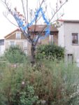 ronde_des_pique-niques_au_jardin_guinguette_de_la_dhuys_-_septembre_2012_-_laurene_caudal_1_.jpg