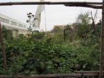 ronde_des_pique-niques_au_jardin_guinguette_de_la_dhuys_-_septembre_2012_-_laurene_caudal_6_.jpg