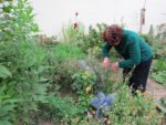 ronde_des_pique-niques_au_jardin_guinguette_de_la_dhuys_-_septembre_2012_-_laurene_caudal_8_.jpg