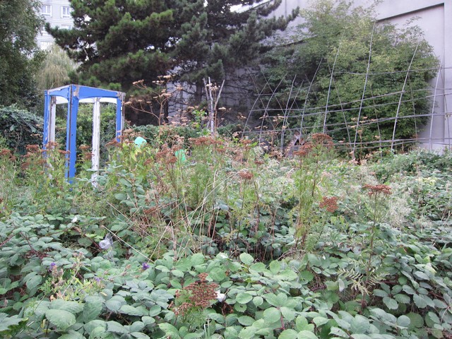 Ronde des pique-niques au Jardin Guinguette de la Dhuys