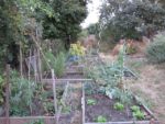 ronde_des_pique-niques_au_jardin_la_plage_arriere_-_septembre_2012_-_laurene_caudal_11_.jpg