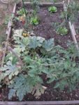 ronde_des_pique-niques_au_jardin_la_plage_arriere_-_septembre_2012_-_laurene_caudal_14_.jpg
