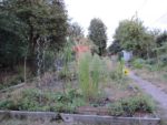 ronde_des_pique-niques_au_jardin_la_plage_arriere_-_septembre_2012_-_laurene_caudal_4_.jpg