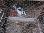 ronde_des_pique-niques_au_jardin_la_plage_arriere_-_septembre_2012_-_laurene_caudal_6_.jpg