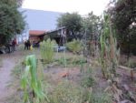 ronde_des_pique-niques_au_jardin_la_plage_arriere_-_septembre_2012_-_laurene_caudal_7_.jpg