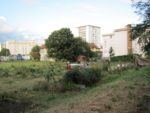 ronde_des_pique-niques_aux_jardins_sauvages_d_audra_-_colombes_-_laurene_caudal_1_.jpg