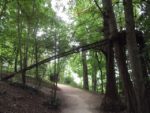 U suite Chaumont sur Loire 3