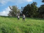 U suite Chaumont sur Loire 9