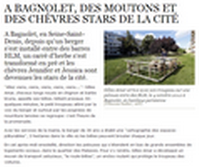 Les moutons et chèvres stars de Bagnolet