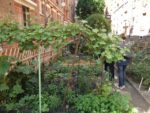 Le 1er jardin