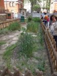 La parcelle des "Chippies" - Animée par Les Ateliers de la Nature