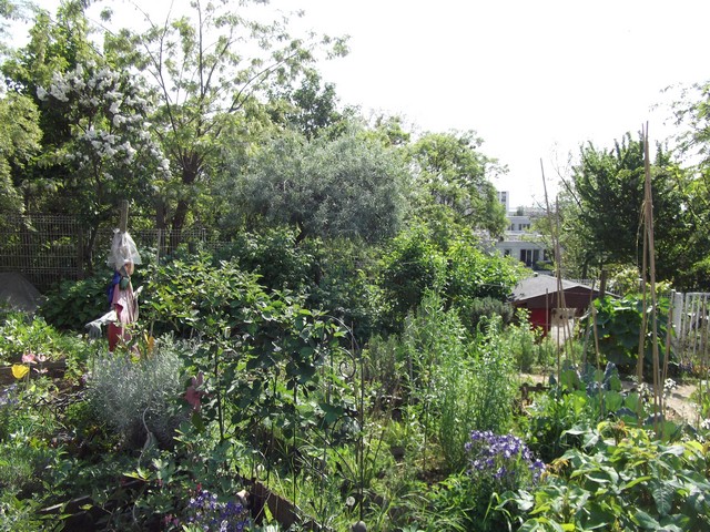 La Butte Bergeyre