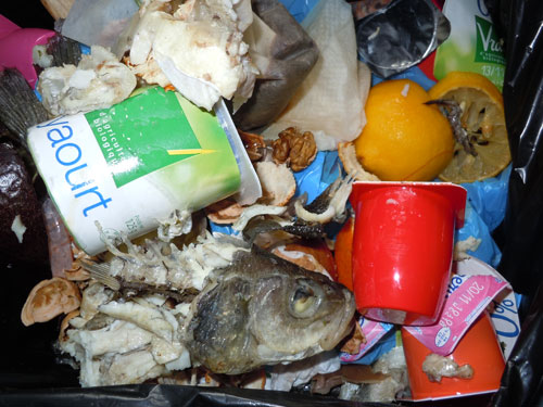 Atelier d’échanges : contre le gaspillage alimentaire, quelles solutions ?