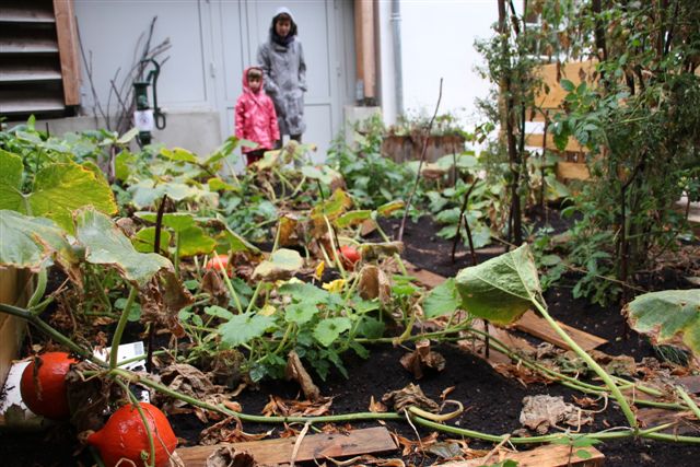 Jardin partagé de la Maison des Solidarités d’Arcueil