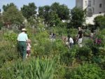le_poireau_agile_-_fete_de_la_nature_-_21_mai_2011_-_2.jpg