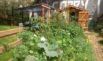 photo_jardin_du_chalet_-_site_internet_des_jardins_du_chalet.jpg