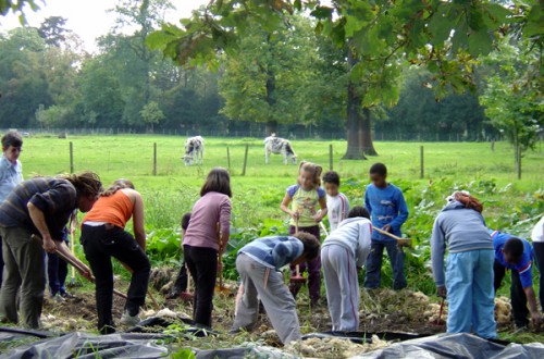 Travaux agricoles à la Ferme de Paris