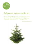 affiche_depot_sapin.jpg