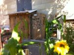 jardin_partage_elie_faure_-_photos_de_ville_en_herbes_12_.jpg