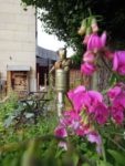 jardin_partage_elie_faure_-_photos_de_ville_en_herbes_18_-2.jpg
