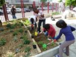 jardin_partage_elie_faure_-_photos_de_ville_en_herbes_3_.jpg