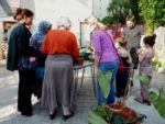 jardin_partage_elie_faure_-_photos_de_ville_en_herbes_4_.jpg