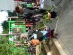 jardin_partage_elie_faure_-_photos_de_ville_en_herbes_5_.jpg