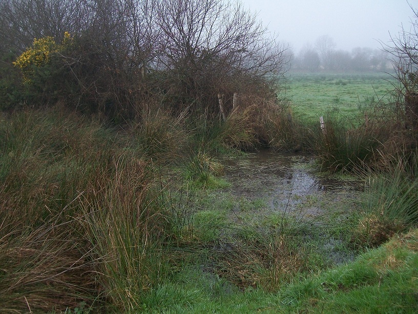 Préservation des terres et de la biodiversité