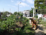 jardin_de_la_butte_bergeyre_-_paris_19_1_.jpg