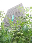 jardin_partage_croulebarbe_-_paris_13_1_.jpg