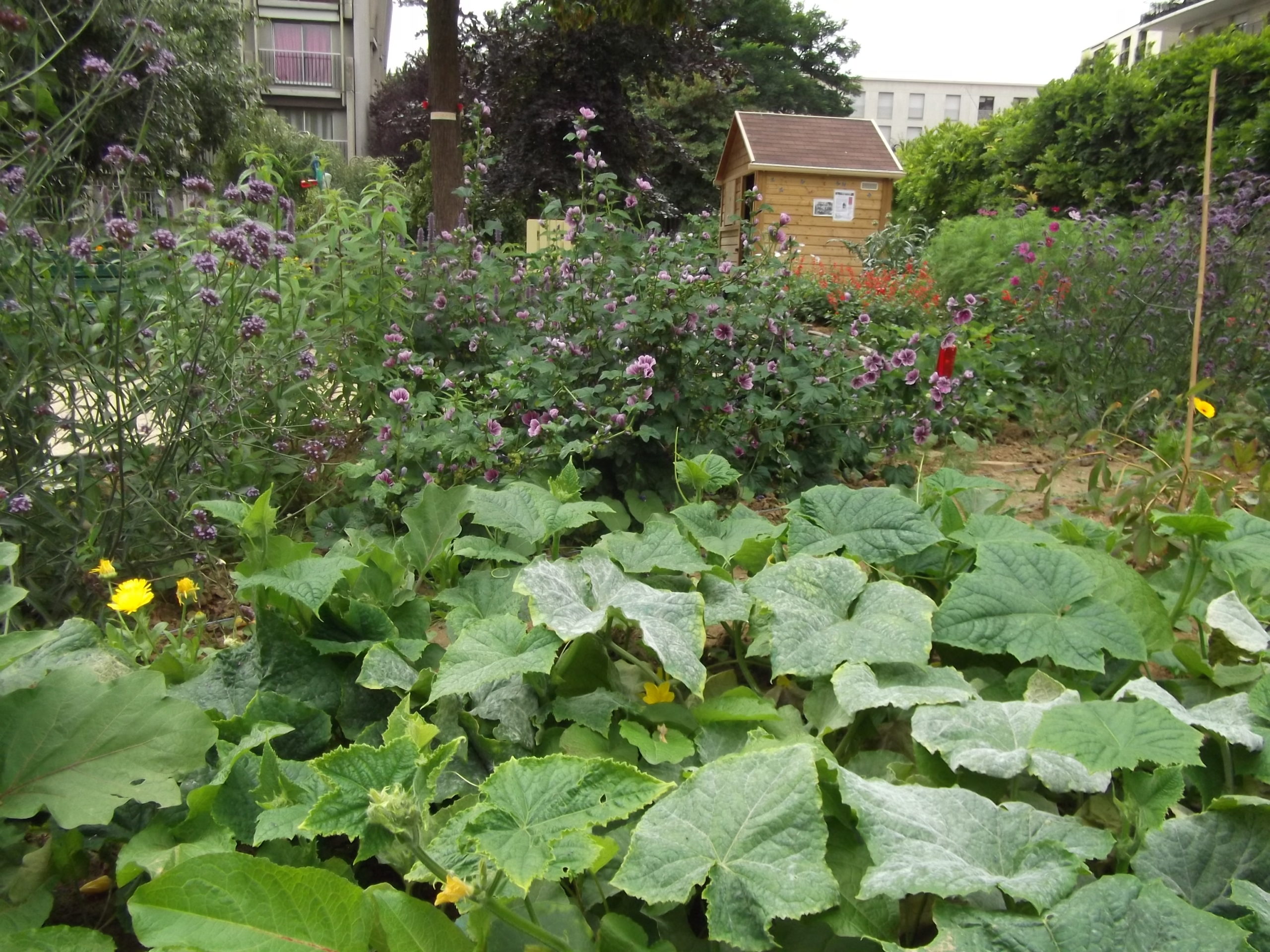 le Jardin d’Abel