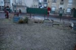 le_pouce_vert_-_plus_de_sapins_-_fevrier_2013.jpg